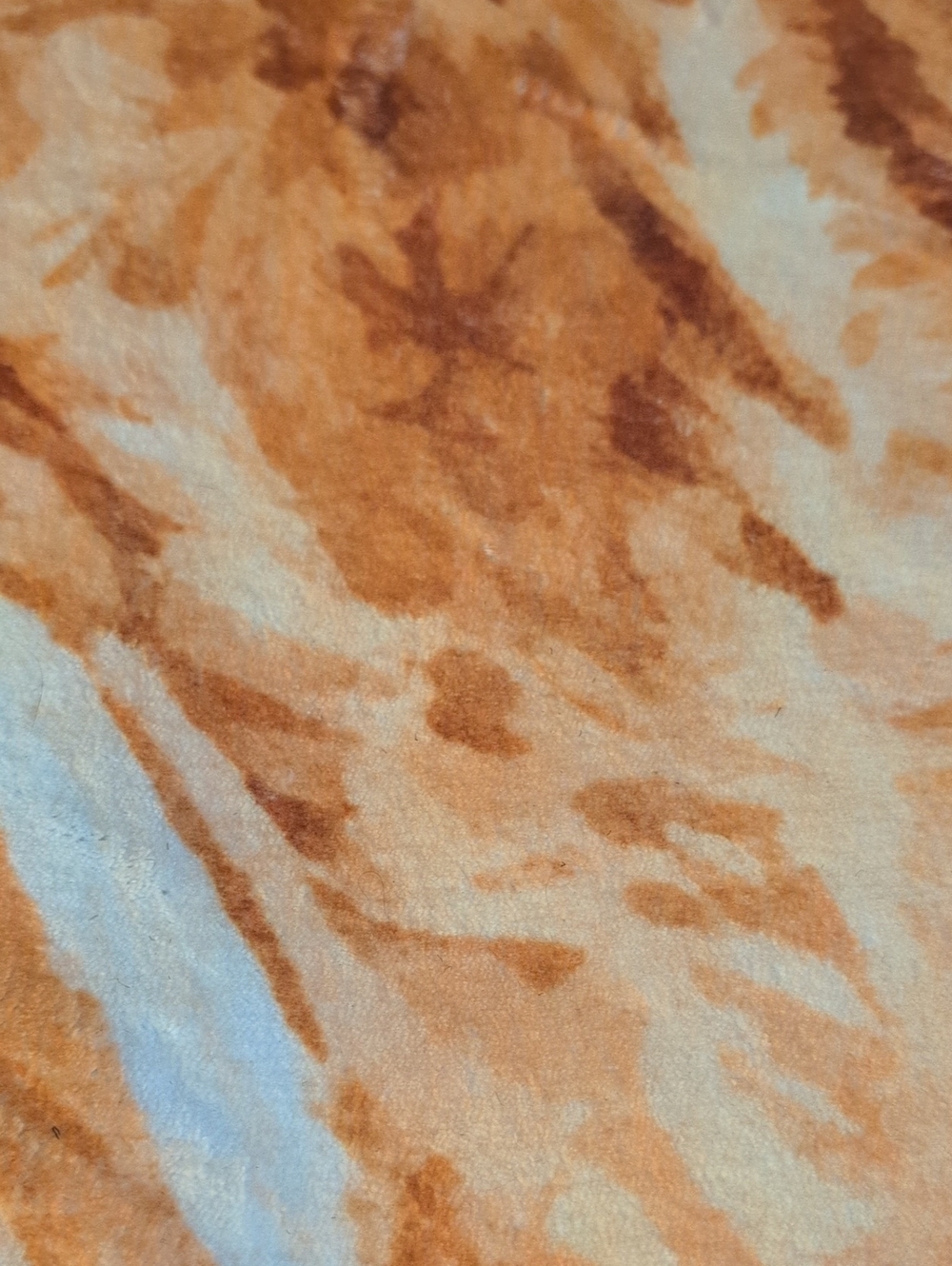 New Kitty Cat Rugs - Picture 3 of 9